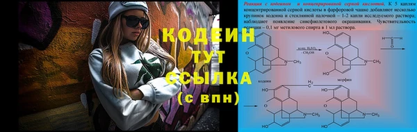 ПСИЛОЦИБИНОВЫЕ ГРИБЫ Арсеньев