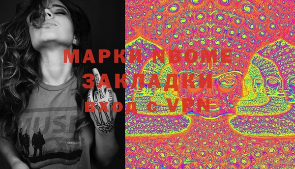 ПСИЛОЦИБИНОВЫЕ ГРИБЫ Арсеньев