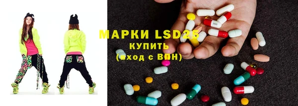 ПСИЛОЦИБИНОВЫЕ ГРИБЫ Арсеньев